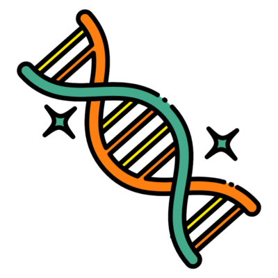 human design report package