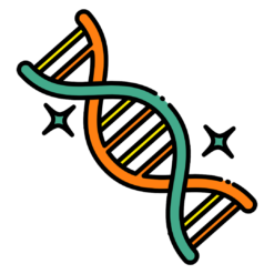 full human design report package